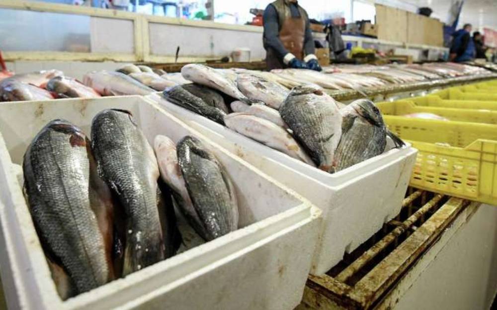 Xaricdən kiloqramı 2 manata alınan balıq niyə 35 manata satılır? - VİDEO