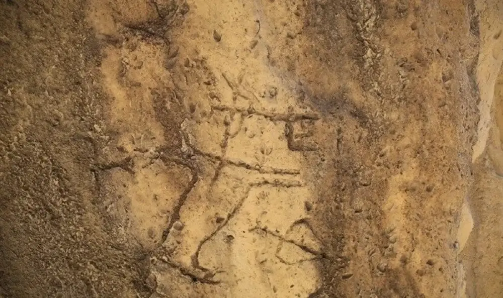 Qobustan qoruğunda yeni qayaüstü təsvirlər aşkarlandı