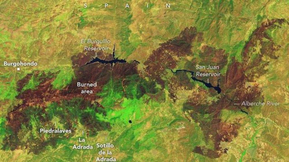 İspaniya tarixinin ən pis meşə yanğınında Nyu-York şəhəri böyüklüyündə bir ərazi külə çevrildi