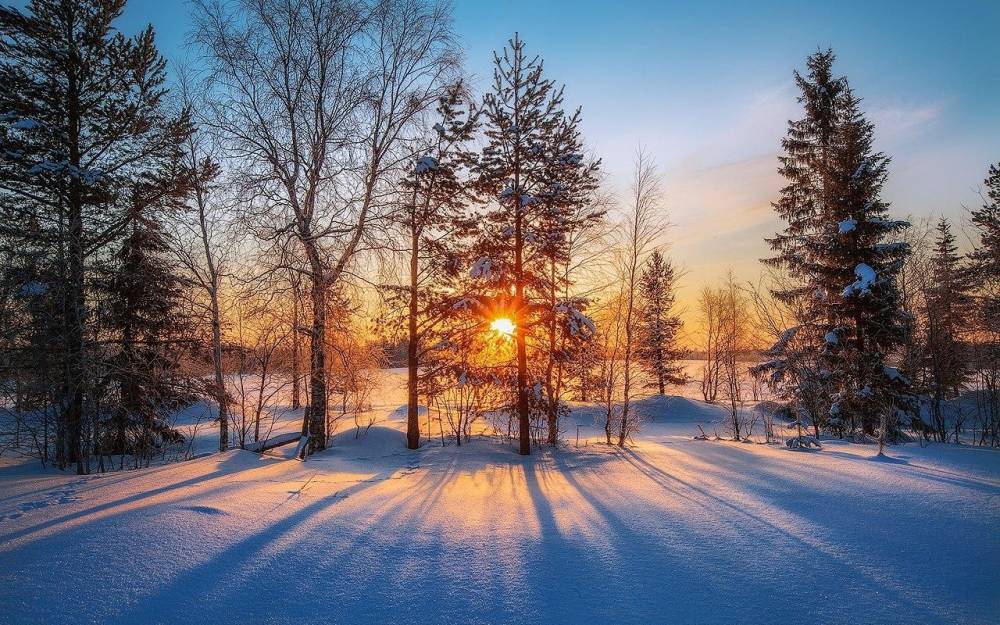 Yanvarıda havanın temperaturu iqlim normasından yuxarı olub
