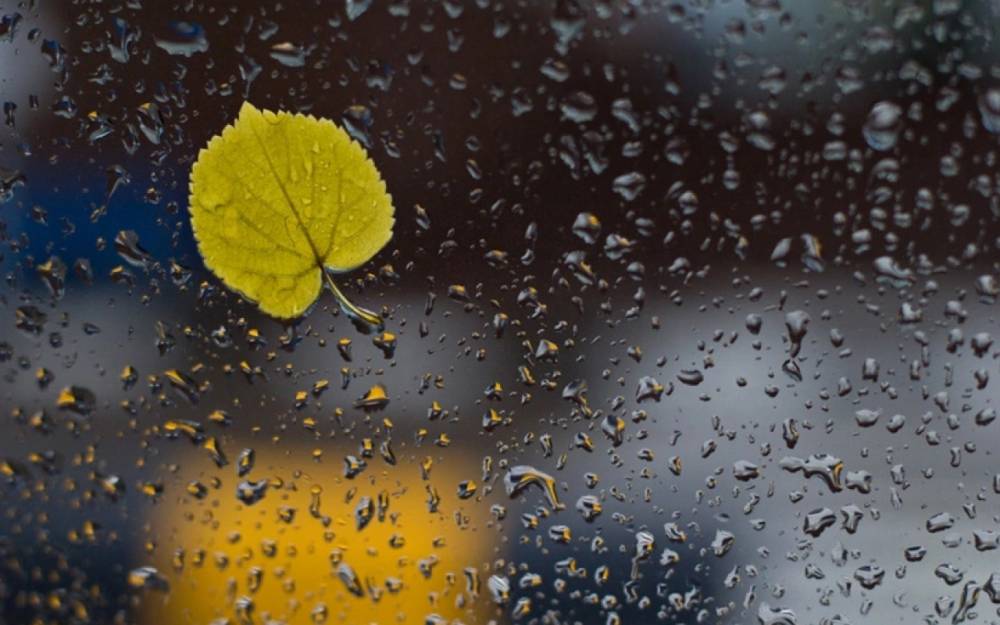 Ölkə ərazisində yağıntılı hava müşahidə olunur - Faktiki hava