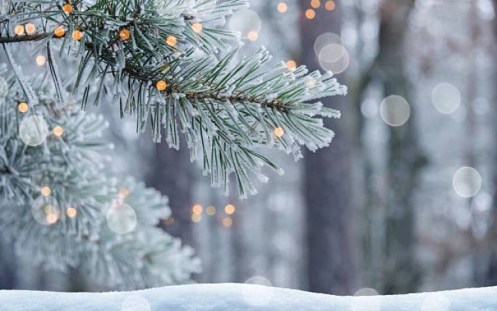 Bu rayonlara qar yağır - Faktiki hava