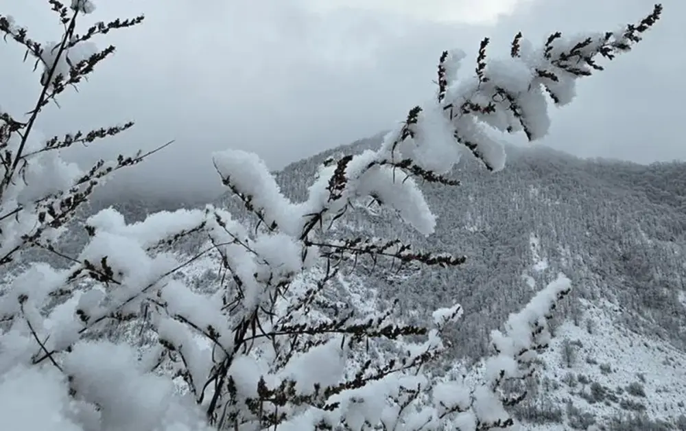 Şahbuzda qarın hündürlüyü 41 sm-ə çatıb - FAKTİKİ HAVA