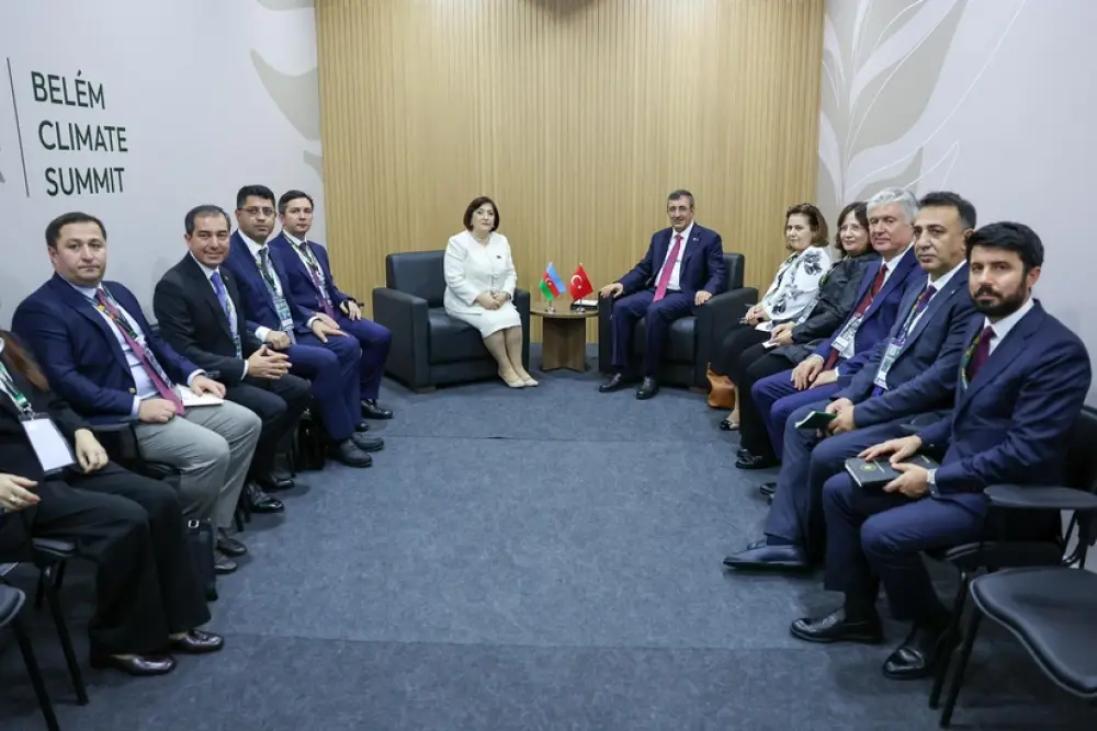 Sahibə Qafarova Türkiyənin vitse- prezidenti ilə COP29-un nailiyyətlərini müzakirə edib