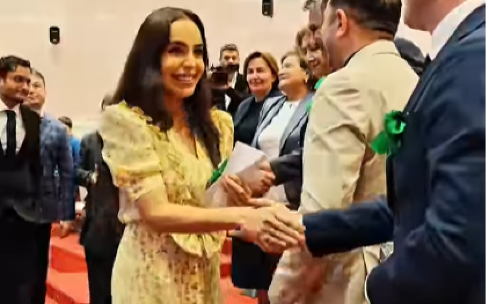 Leyla Əliyeva Avropa-Azərbaycan məktəbində - VİDEO