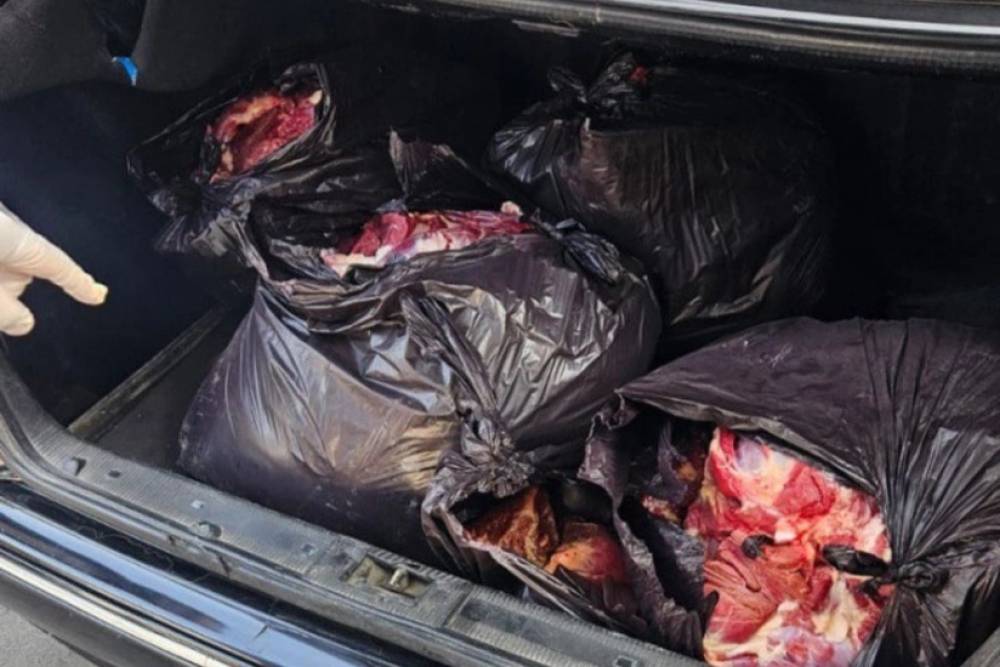 Bərdədə 154 kiloqram at ətinin mal əti adı ilə satışa çıxarılmasının qarşısı alınıb