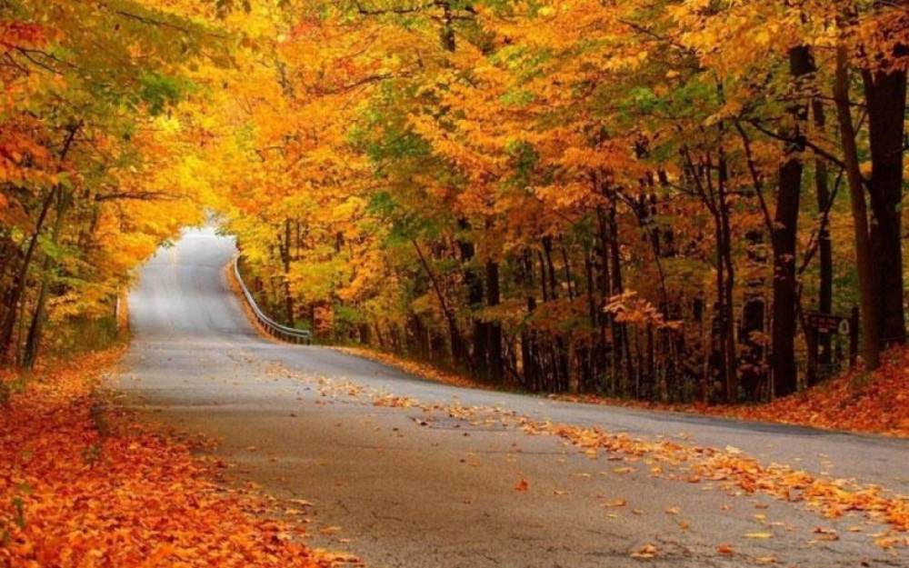 Bazar gününə olan hava proqnozu