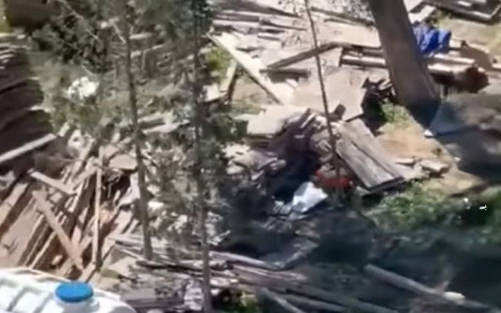 Sumqayıtda ağacları kəsdilər - Polis araşdırmaya başladı