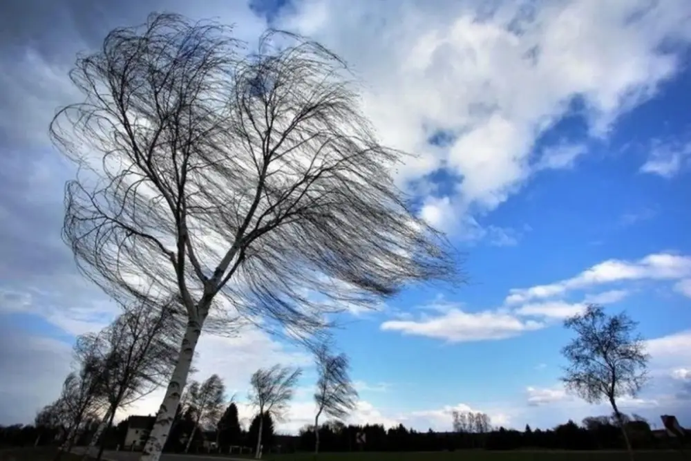 Güclü külək əsəcək - XƏBƏRDARLIQ